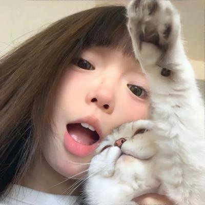 妙探狗福星